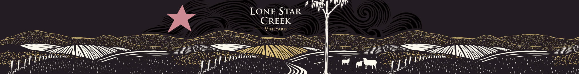 Lone Star Creek logo